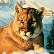 lionz